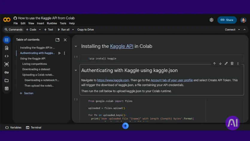 interface of Google Collab with Kaggle